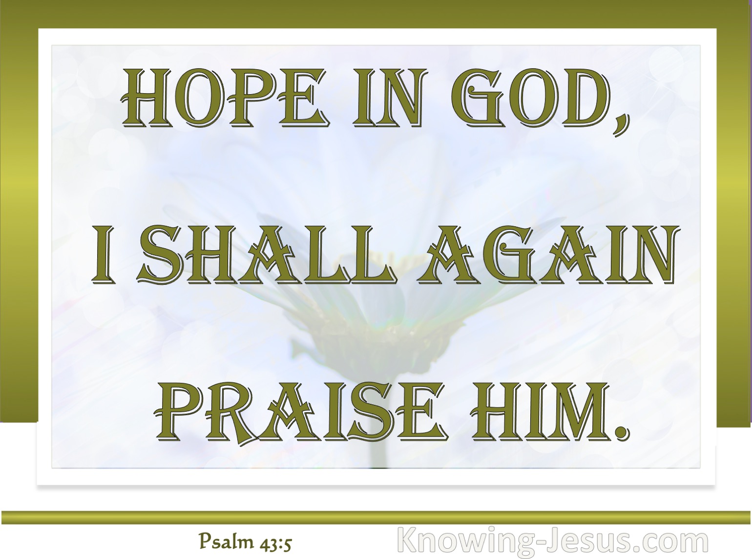 What Does Psalm 43 5 Mean 